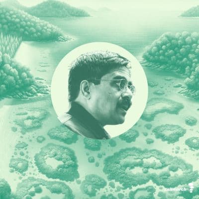 Habits of a Highly Effective Technical Manager