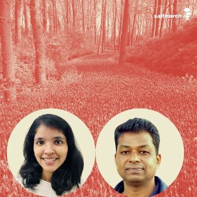 Monoliths to Modular: Navigating the Transition